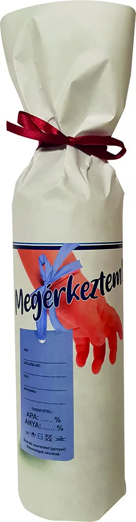 Megérkeztem